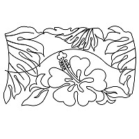 lush hibiscus border 001